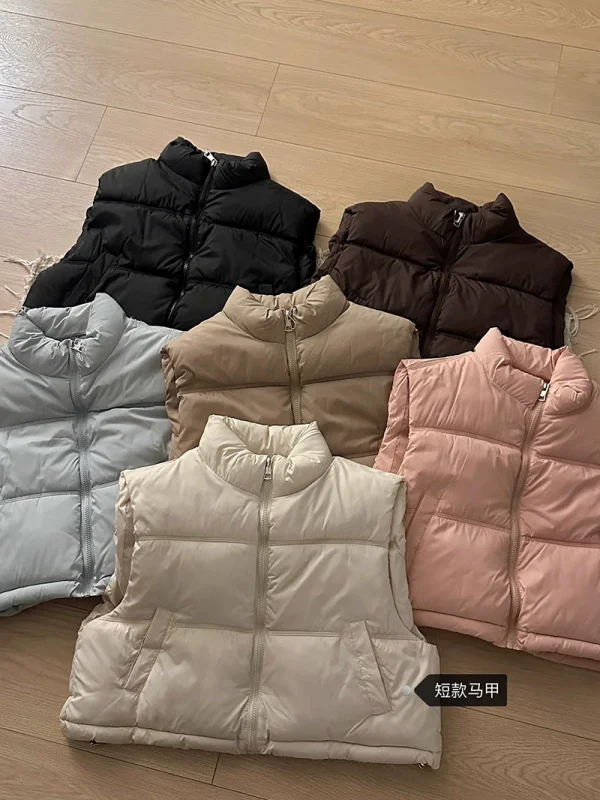 简约纯色高级感立领棉服马夹2024秋季新款韩版女装无袖百搭面包服